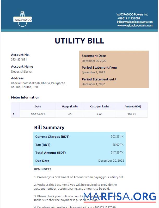 Printable BANGLADESH WAZIPADICO POWER utility bill Word and PDF template
